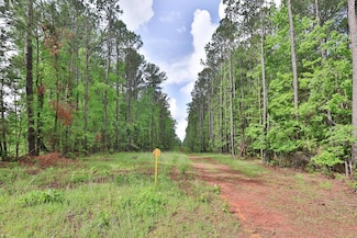 0 N Porter Rd Unit 221084, Shiloh, GA 31826