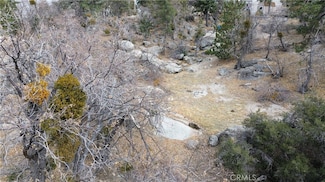 0 Bear Dr Unit IV25050620, Arrowbear, CA 92382