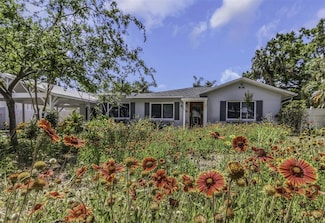 4206 W Palmira Ave, Tampa, FL 33629