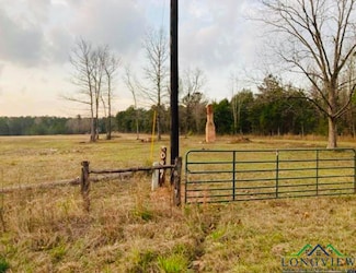 10204 Farm To Market 839, Henderson, TX 75654