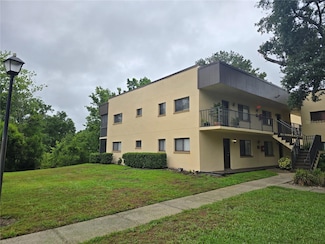 11802 Raintree Lake Ln Unit B, Tampa, FL 33617