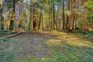 2 Deer Rd, Point Roberts, WA 98281