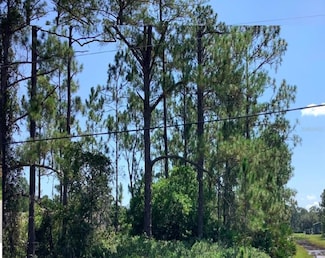 0 Caesar Ave Unit O6095897, Orlando, FL 32833