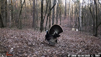 0 Farm To Market 2735, de Kalb, TX 75559