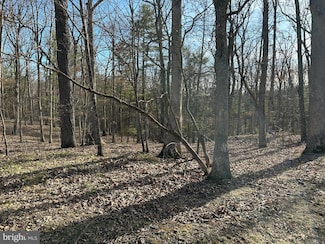 0 Misty Meadows Ln, Gore, WV 26704