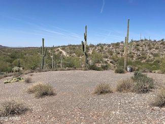 3246 N Silver Tip Trail Unit 1, Queen Valley, AZ 85118