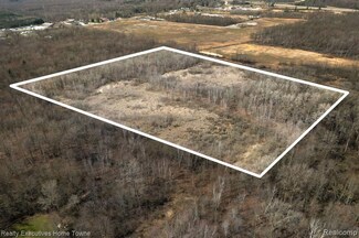 00 Griswold Rd, Smiths Creek, MI 48074
