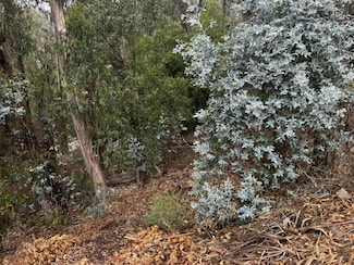 6595 Thornhill Dr, Oakland, CA 94611