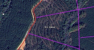 Tr 4 Unit 15.976 ac Pike Roa, Franklin, GA 30217