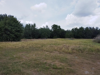 9236 Tolbert Stephens Rd, Ona, FL 33865