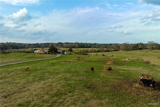 13205 Northside Rd, Berry, AL 35546
