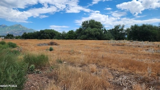 806 Stringtown Rd, Midway, UT 84049