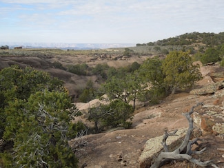 411 W Sand Flats Rd 11675 E L On Pub Rd, Moab, UT 84532