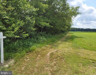 0 Galestown Reliance Rd, Galestown, MD
