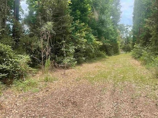 01 County Road 4600, Fred, TX 77616