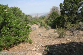 6001 Elk Reserve Rd, Glade Park, CO 81523