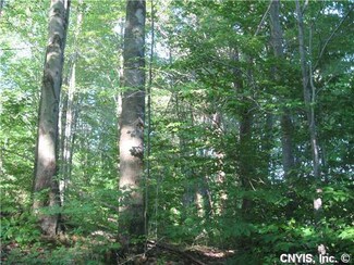0 Mill St, Hannibal, NY 13074