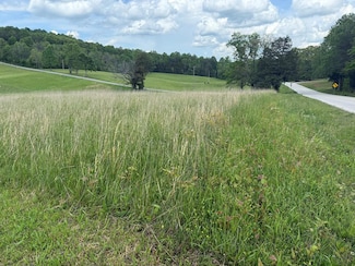 135 Rosa Cox Rd, Sparta, TN 38583