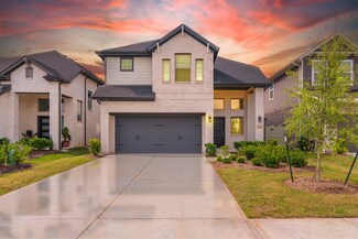 10590 Wild Chives, the Woodlands, TX 77385