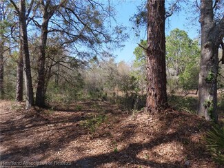 6507 E Banyan Place, Sebring, FL 33875
