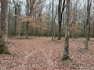 16284 Beams Rd, Northport, AL 35475