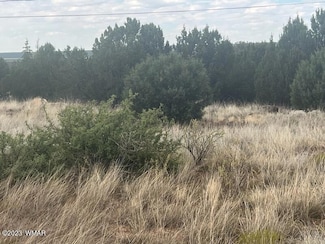 8422 Navajo Dr, Show Low, AZ 85901