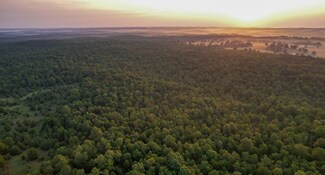 0 Tbd Red Bud Rd, Sturkie, AR 72578