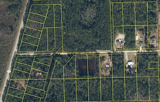 127 E Satsuma St, Palatka, FL 32177