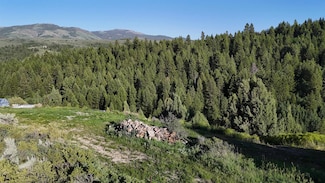 TBD Parcel 2 Deer Creek, Lava Hot Springs, ID 83246