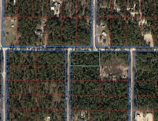 Lot 11 SE 8th St, Williston, FL 32696