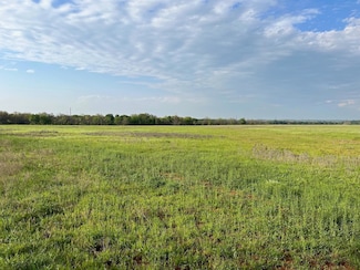 E. 34.1 Hoffman Rd, Loving, TX 76460