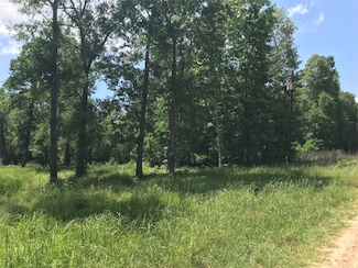 TBD Arrowhead Trail, West Livingston, TX 77351