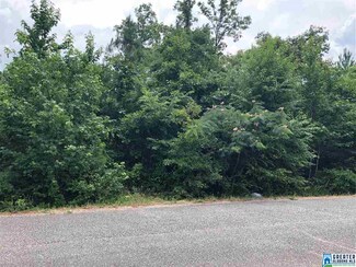 4300 Levine Ave Unit 8.4Acres, Graysville, AL 35073