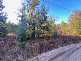0 0 Nw 7th Place Unit MFROM694137, Ocala, FL 34482