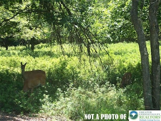 993 Stony Mountain Rd, Albrightsvlle, PA 18210