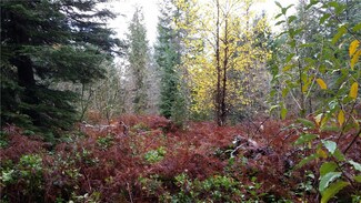 131 Cropsey Dr, Randle, WA 98377