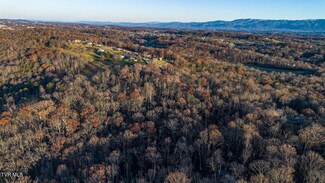 293 W Panoramic View Dr, Greeneville, TN 37743