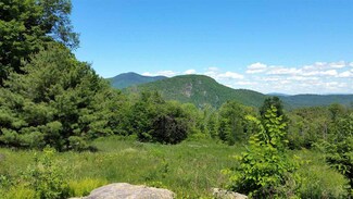 395 Stevens Rd, Cavendish, VT 05142