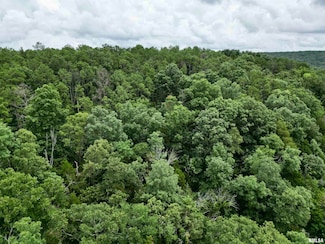 000 Stoneface Rd, Harrisburg, IL 62946