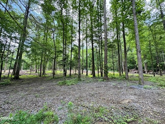 Lot 6 Fontaine Way, Pittman Center, TN 37738
