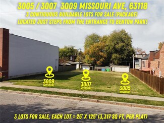 3005 Missouri Ave, Saint Louis, MO 63118