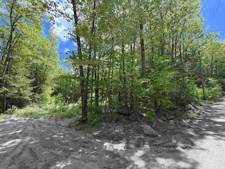0 Craig Rd Unit 5046605, Antrim, NH 03440