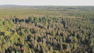0 Vl River Lake Rd, Roscommon, MI 48653