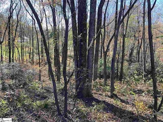 0 The Cliffs Pkwy, Landrum, SC 29356