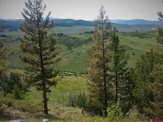 701 Crest Dr, Cimarron, CO 81220