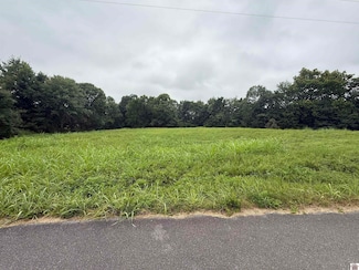 00 Mcclain Rd, Sedalia, KY 42066