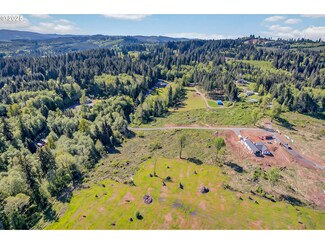 324 Dolan Rd, Castlerock, WA 98611