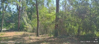 16280 Palacky St, Masaryktown, FL 34604