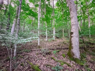 0 Route 15 19, Camden On Gauley, WV 26208