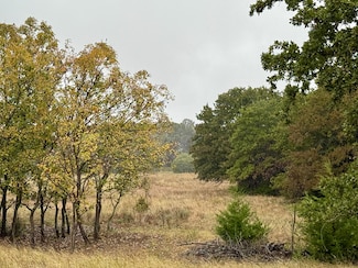 Big Tree Rd, Montague, TX 76251